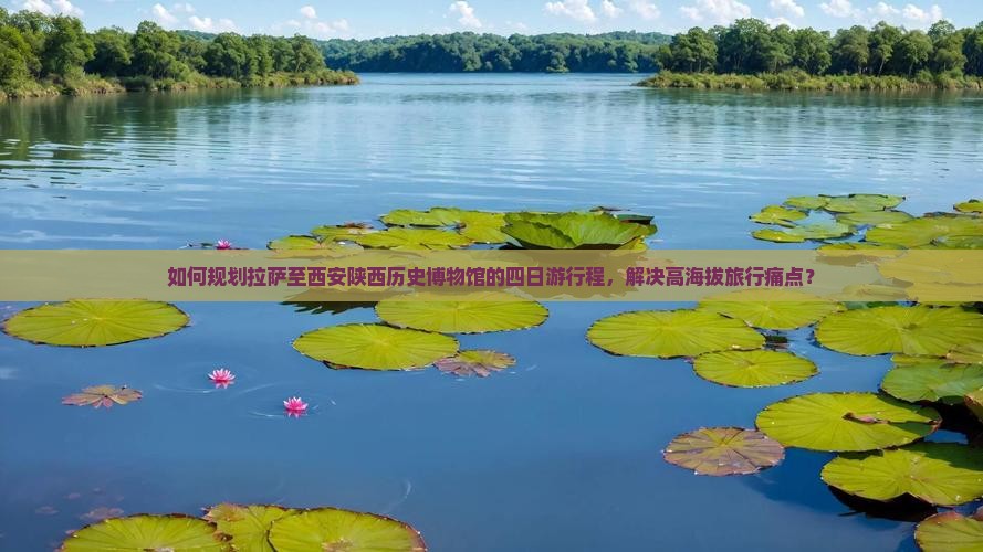 如何规划拉萨至西安陕西历史博物馆的四日游行程，解决高海拔旅行痛点？