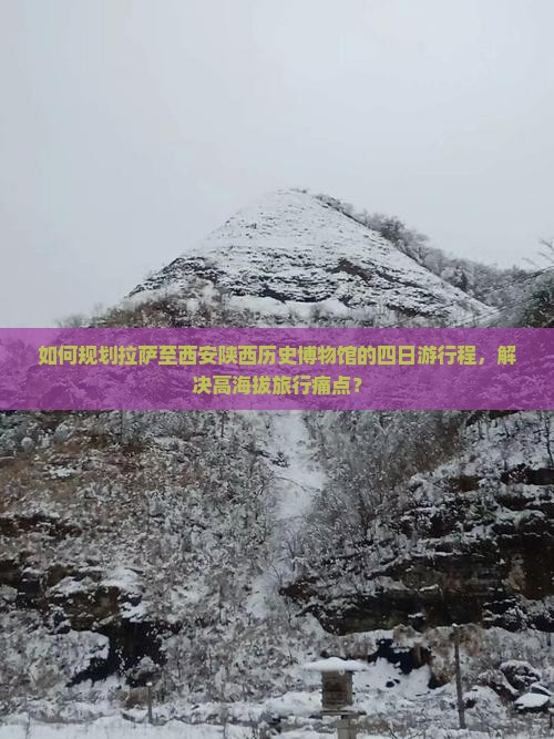 如何规划拉萨至西安陕西历史博物馆的四日游行程，解决高海拔旅行痛点？