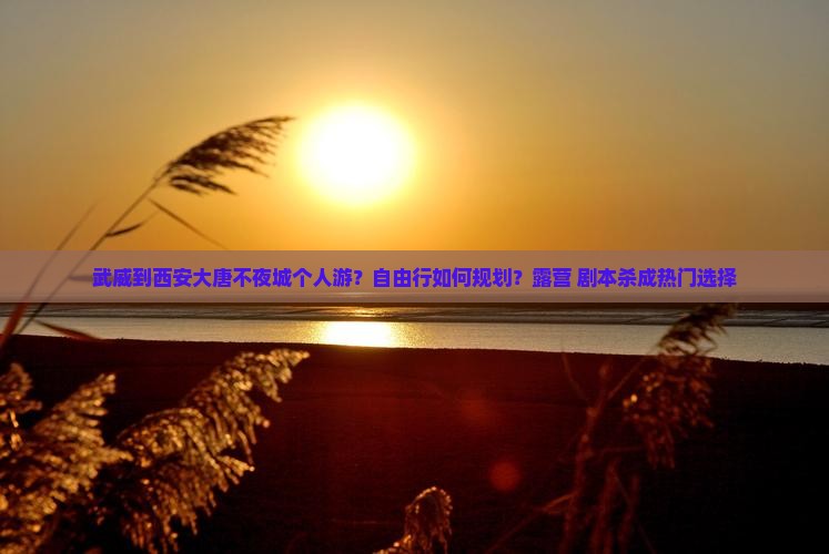 武威到西安大唐不夜城个人游？自由行如何规划？露营+剧本杀成热门选择