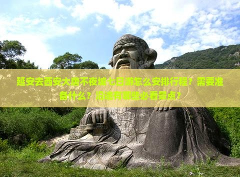 延安去西安大唐不夜城七日游怎么安排行程？需要准备什么？沿途有哪些必看景点？