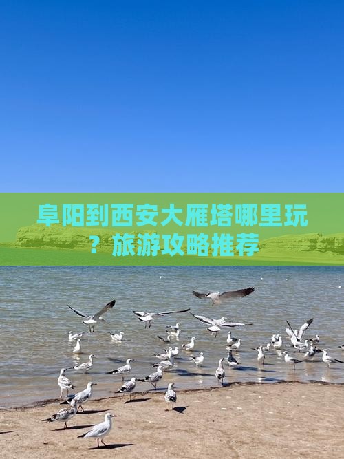 阜阳到西安大雁塔哪里玩？旅游攻略推荐