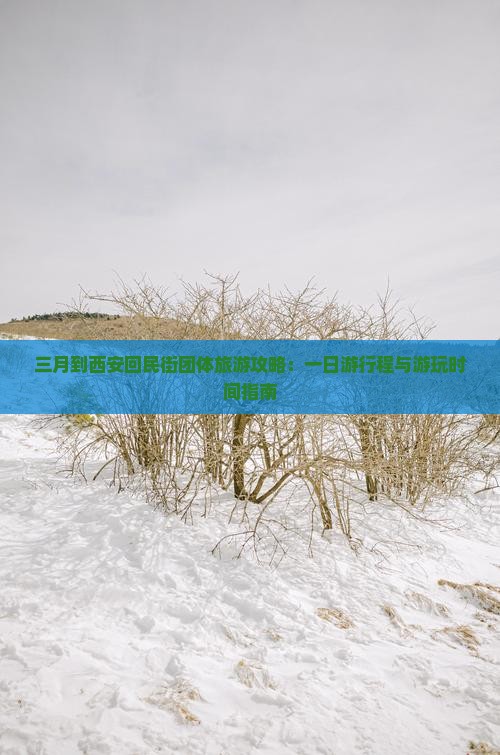 三月到西安回民街团体旅游攻略：一日游行程与游玩时间指南
