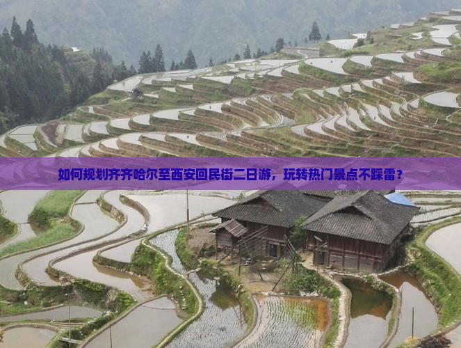 如何规划齐齐哈尔至西安回民街二日游，玩转热门景点不踩雷？