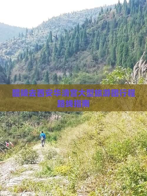 醴陵去西安华清宫大型旅游团行程路线指南