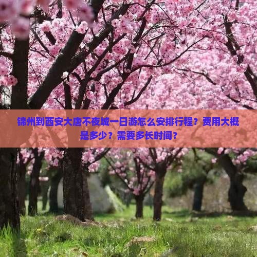 锦州到西安大唐不夜城一日游怎么安排行程？费用大概是多少？需要多长时间？
