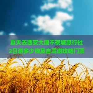 夏天去西安大唐不夜城旅行社2日游多少钱及自驾游攻略门票信息3日游行程