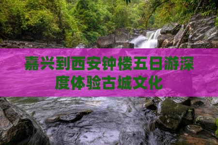 嘉兴到西安钟楼五日游深度体验古城文化