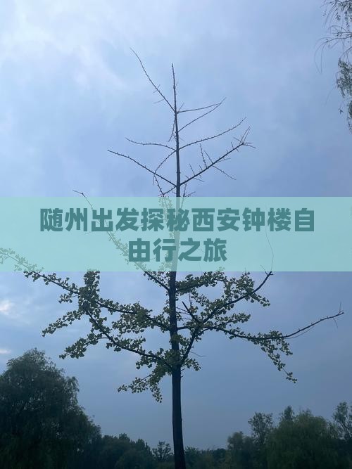 随州出发探秘西安钟楼自由行之旅