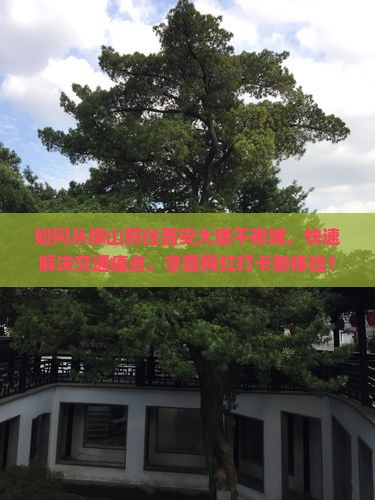 如何从保山前往西安大唐不夜城，快速解决交通痛点，享受网红打卡新体验？