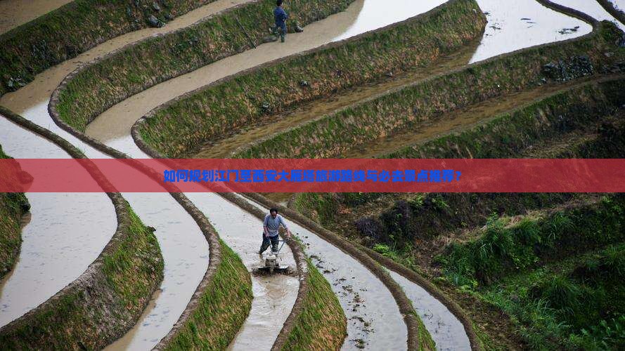 如何规划江门至西安大雁塔旅游路线与必去景点推荐？