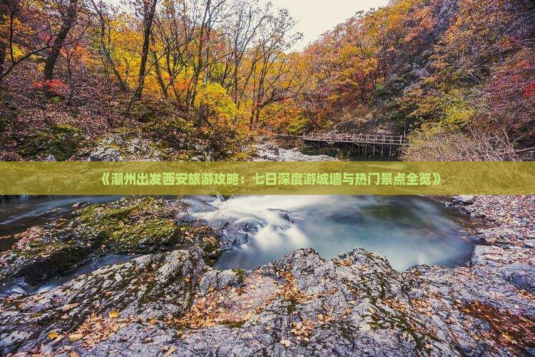 《潮州出发西安旅游攻略：七日深度游城墙与热门景点全览》