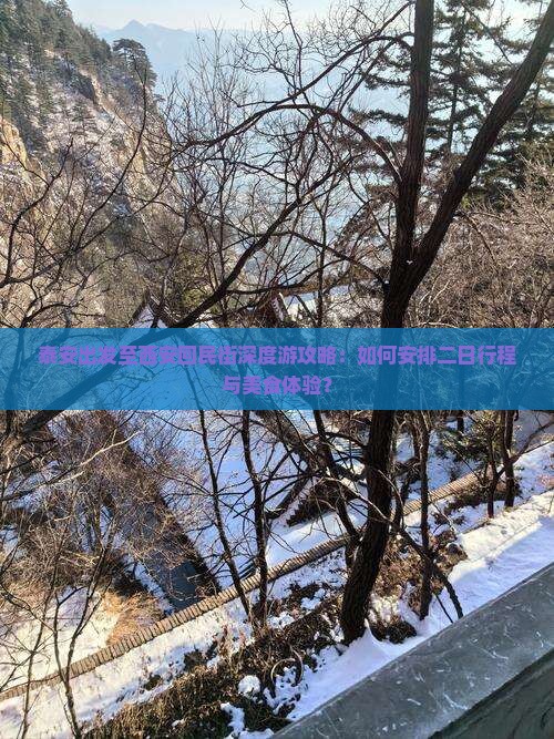 泰安出发至西安回民街深度游攻略：如何安排二日行程与美食体验？