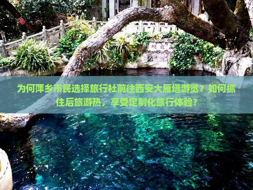 为何萍乡市民选择旅行社前往西安大雁塔游览？如何抓住后旅游热，享受定制化旅行体验？