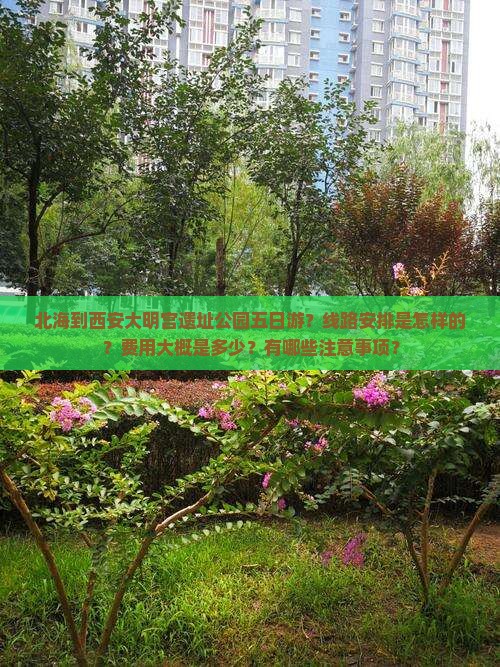 北海到西安大明宫遗址公园五日游？线路安排是怎样的？费用大概是多少？有哪些注意事项？