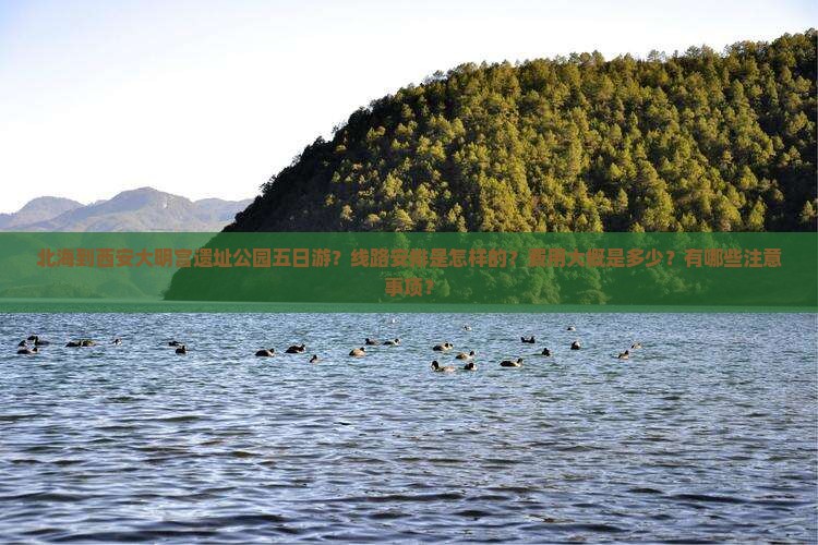 北海到西安大明宫遗址公园五日游？线路安排是怎样的？费用大概是多少？有哪些注意事项？