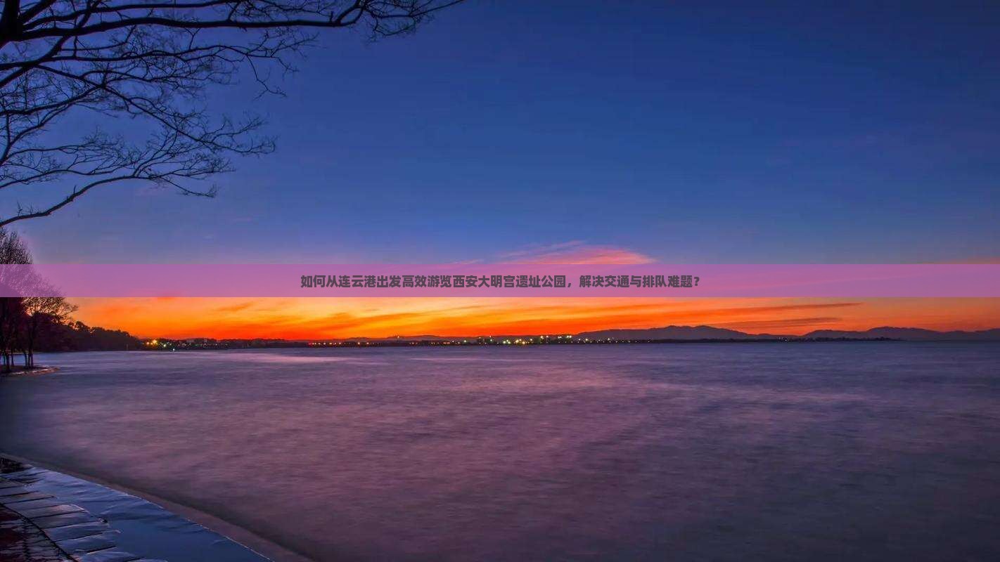 如何从连云港出发高效游览西安大明宫遗址公园，解决交通与排队难题？