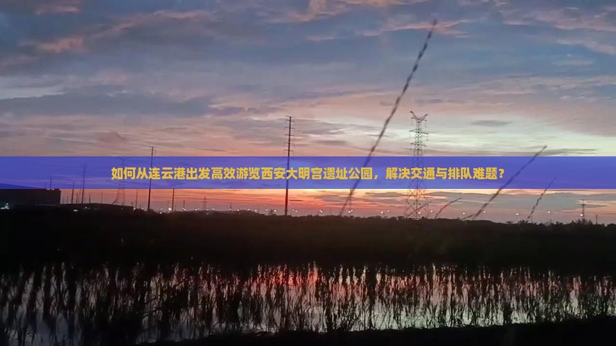 如何从连云港出发高效游览西安大明宫遗址公园，解决交通与排队难题？