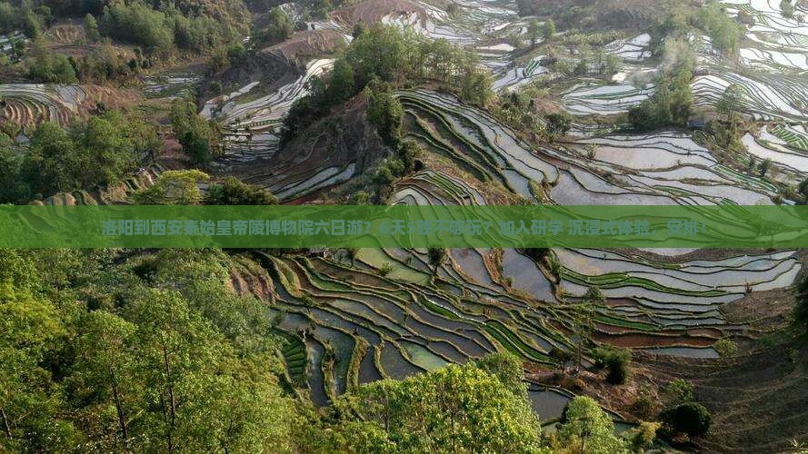 洛阳到西安秦始皇帝陵博物院六日游？6天5晚不够玩？加入研学+沉浸式体验，安排！