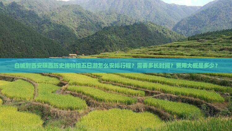 白城到西安陕西历史博物馆五日游怎么安排行程？需要多长时间？费用大概是多少？