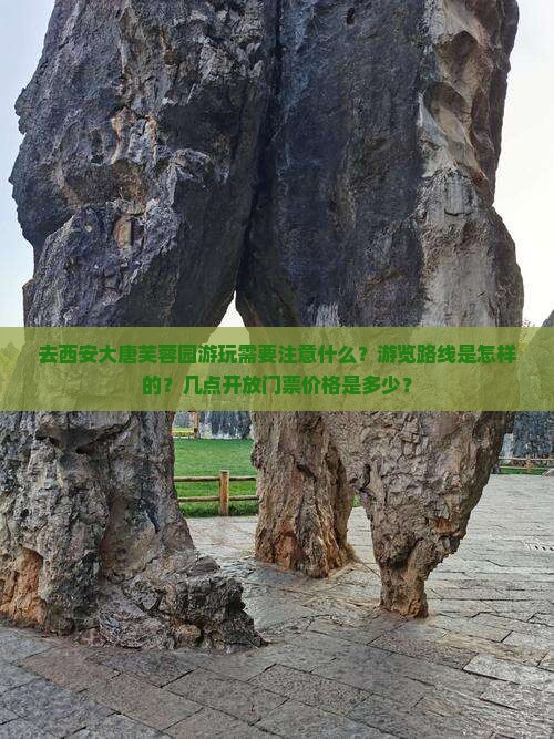 去西安大唐芙蓉园游玩需要注意什么？游览路线是怎样的？几点开放门票价格是多少？