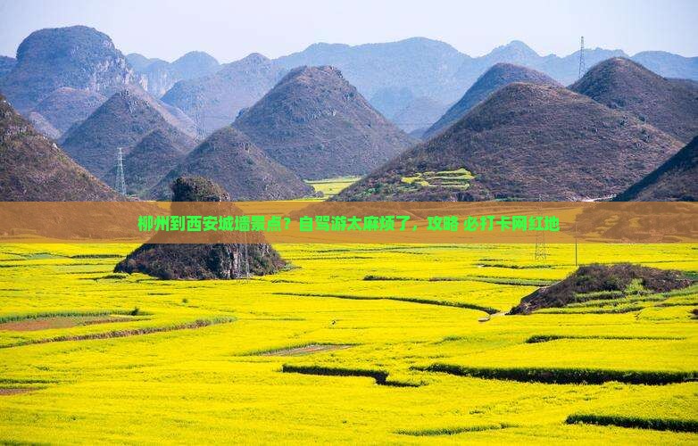 柳州到西安城墙景点？自驾游太麻烦了，攻略+必打卡网红地