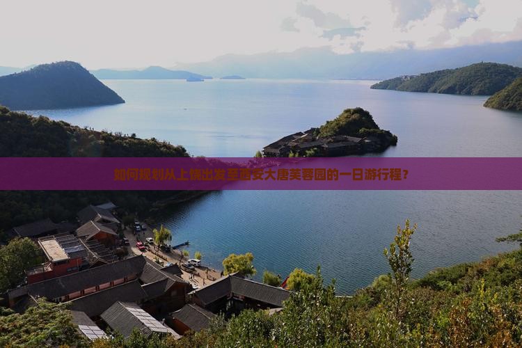 如何规划从上饶出发至西安大唐芙蓉园的一日游行程？