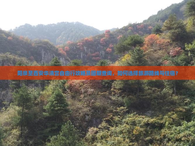 阳泉至西安华清宫自由行攻略及团期查询，如何选择旅游路线与住宿？