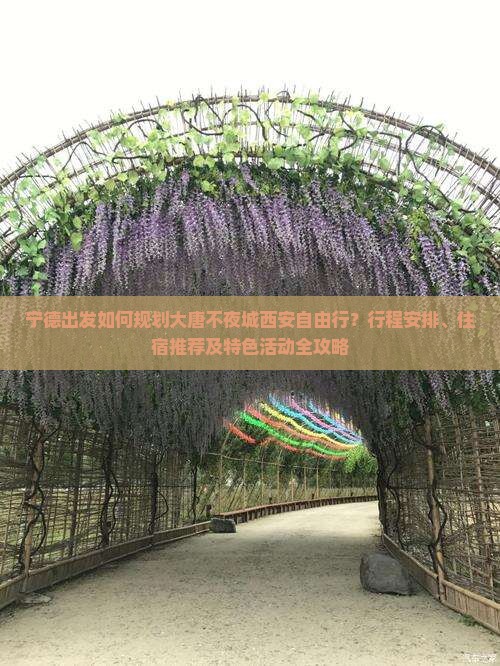 宁德出发如何规划大唐不夜城西安自由行？行程安排、住宿推荐及特色活动全攻略