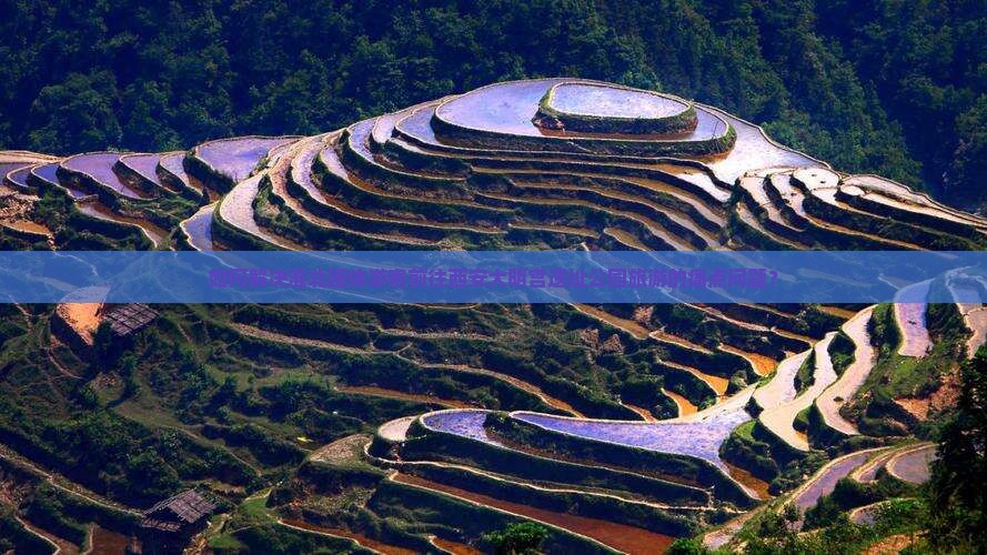 如何解决淮北团体游客前往西安大明宫遗址公园旅游的痛点问题？