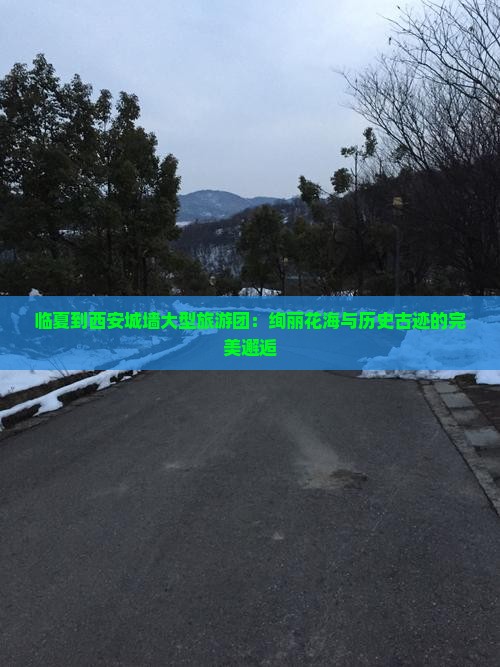 临夏到西安城墙大型旅游团：绚丽花海与历史古迹的完美邂逅