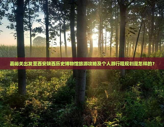 嘉峪关出发至西安陕西历史博物馆旅游攻略及个人游行程规划是怎样的？
