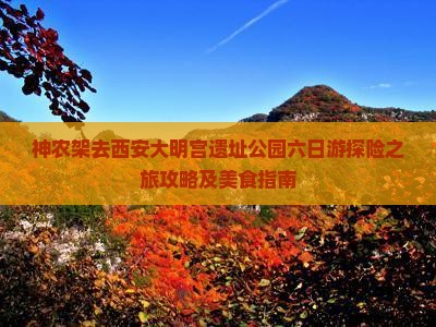 神农架去西安大明宫遗址公园六日游探险之旅攻略及美食指南