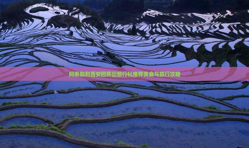 阿泰勒到西安回民街旅行社推荐美食与旅行攻略