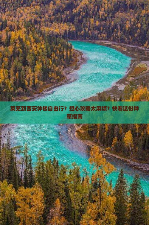莱芜到西安钟楼自由行？担心攻略太麻烦？快看这份种草指南