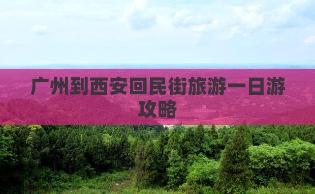 广州到西安回民街旅游一日游攻略
