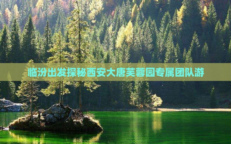 临汾出发探秘西安大唐芙蓉园专属团队游