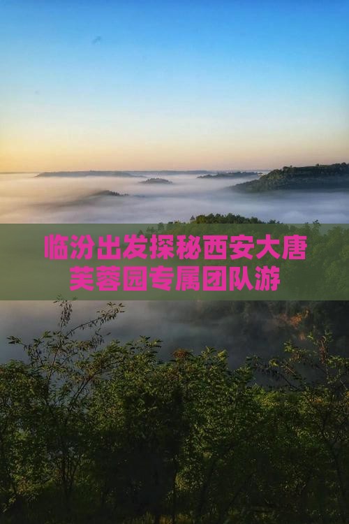 临汾出发探秘西安大唐芙蓉园专属团队游
