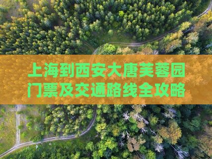 上海到西安大唐芙蓉园门票及交通路线全攻略