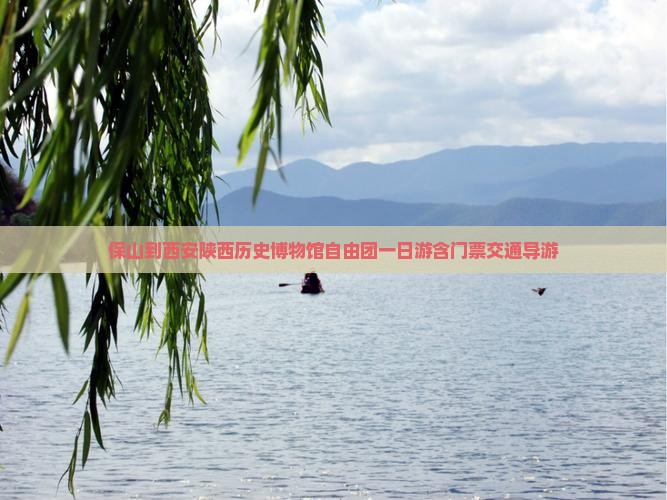 保山到西安陕西历史博物馆自由团一日游含门票交通导游