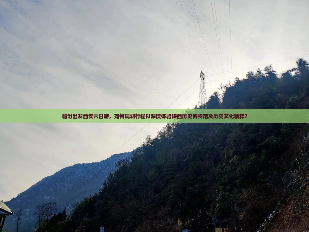 临汾出发西安六日游，如何规划行程以深度体验陕西历史博物馆及历史文化精粹？