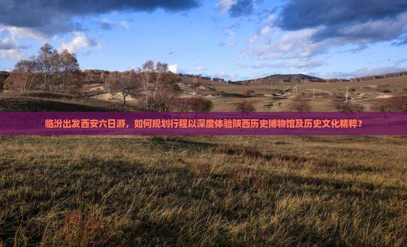 临汾出发西安六日游，如何规划行程以深度体验陕西历史博物馆及历史文化精粹？