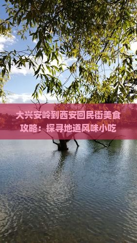 大兴安岭到西安回民街美食攻略：探寻地道风味小吃