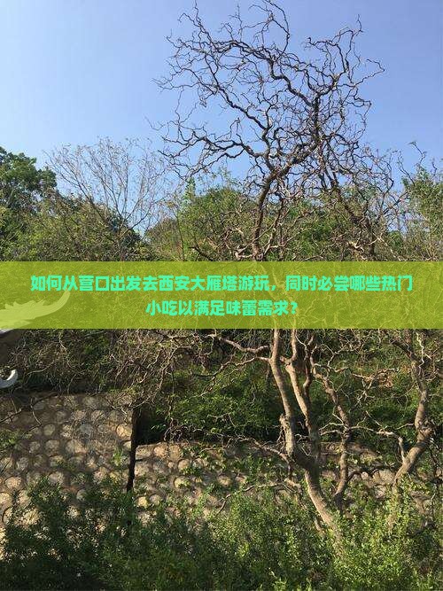 如何从营口出发去西安大雁塔游玩，同时必尝哪些热门小吃以满足味蕾需求？
