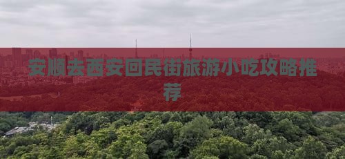 安顺去西安回民街旅游小吃攻略推荐