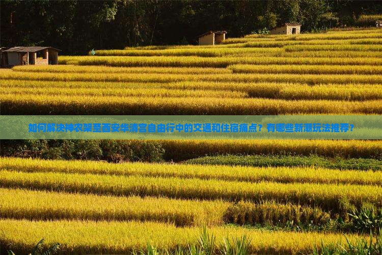 如何解决神农架至西安华清宫自由行中的交通和住宿痛点？有哪些新潮玩法推荐？