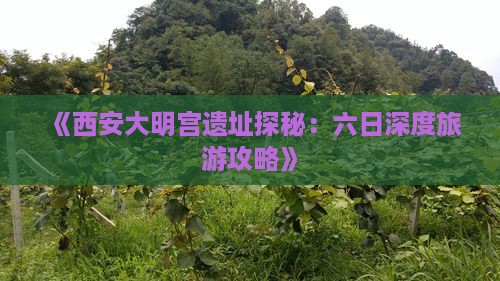 《西安大明宫遗址探秘：六日深度旅游攻略》