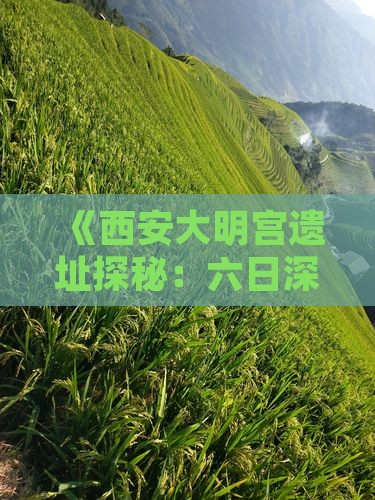 《西安大明宫遗址探秘：六日深度旅游攻略》