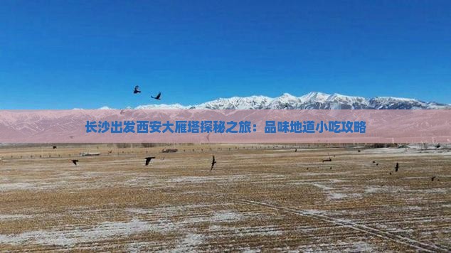 长沙出发西安大雁塔探秘之旅：品味地道小吃攻略