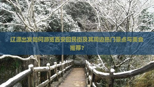 辽源出发如何游览西安回民街及其周边热门景点与美食推荐？
