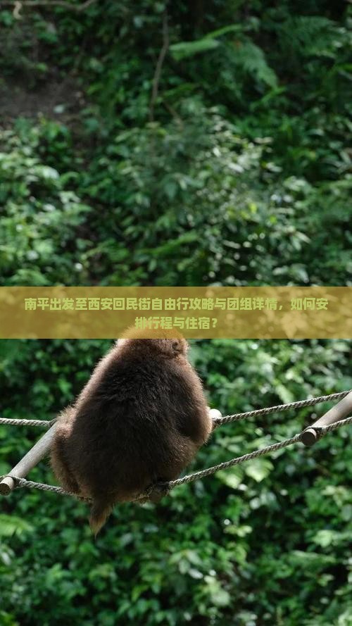 南平出发至西安回民街自由行攻略与团组详情，如何安排行程与住宿？